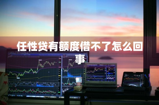 任性贷有额度借不了怎么回事
