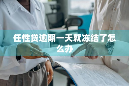 任性贷逾期一天就冻结了怎么办
