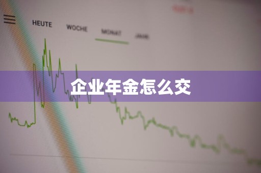 企业年金怎么交