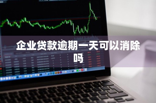 企业贷款逾期一天可以消除吗