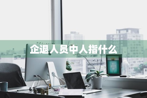 企退人员中人指什么