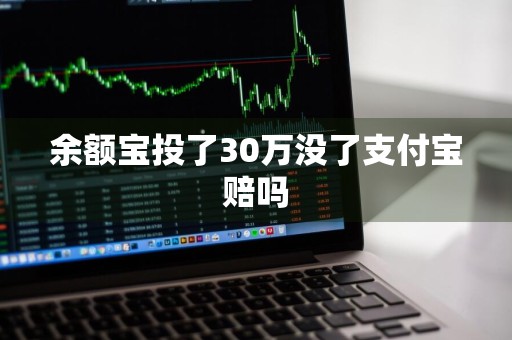 余额宝投了30万没了支付宝赔吗