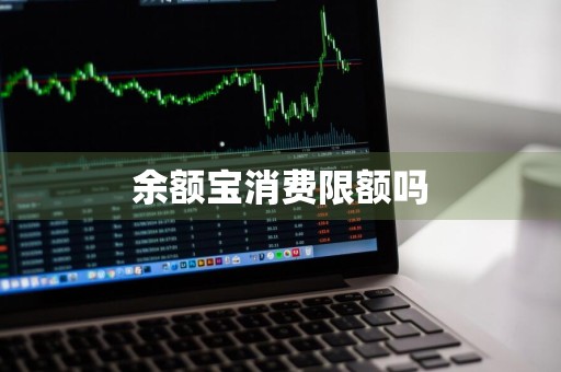 余额宝消费限额吗