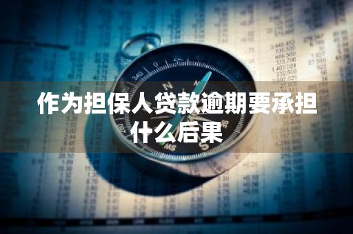 作为担保人贷款逾期要承担什么后果