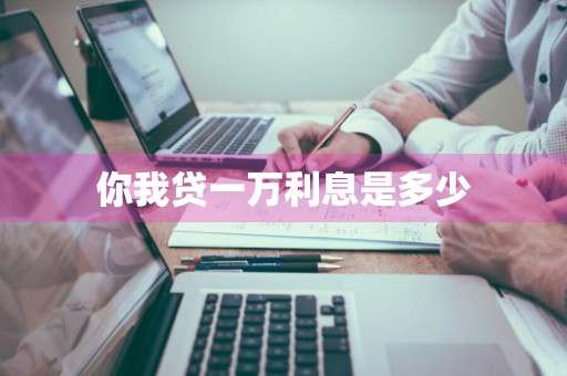 你我贷一万利息是多少