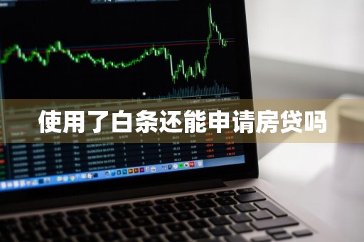 使用了白条还能申请房贷吗