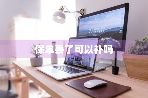 保单丢了可以补吗