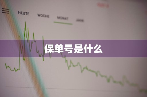 保单号是什么