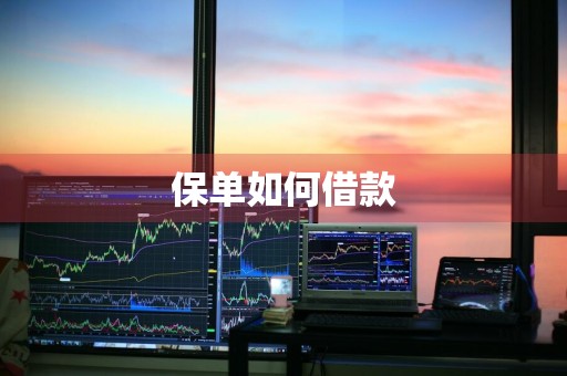 保单如何借款
