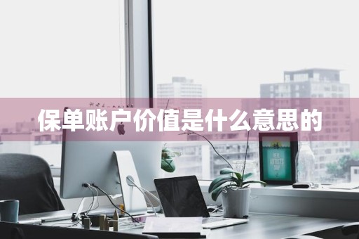 保单账户价值是什么意思的