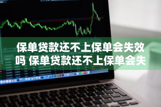 保单贷款还不上保单会失效吗 保单贷款还不上保单会失效吗怎么办