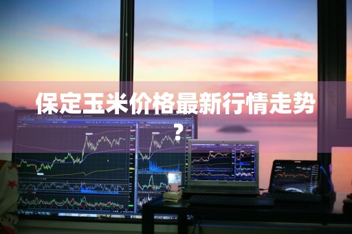 保定玉米价格最新行情走势？