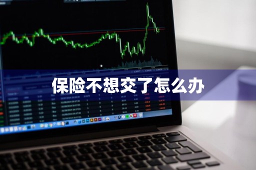 保险不想交了怎么办