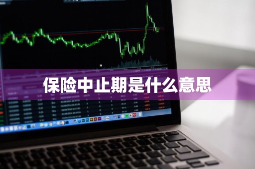 保险中止期是什么意思