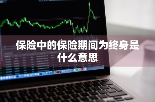 保险中的保险期间为终身是什么意思