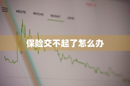 保险交不起了怎么办