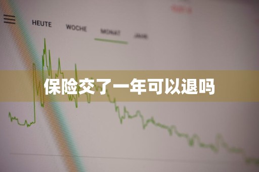 保险交了一年可以退吗
