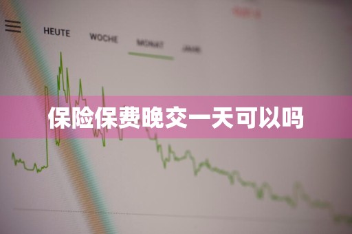 保险保费晚交一天可以吗