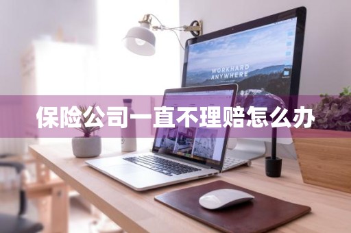 保险公司一直不理赔怎么办