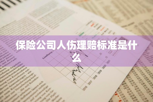 保险公司人伤理赔标准是什么