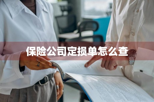 保险公司定损单怎么查