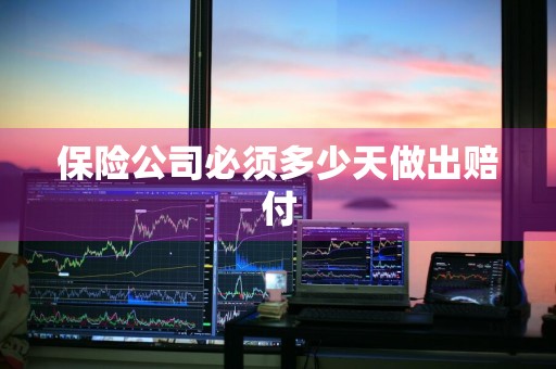 保险公司必须多少天做出赔付