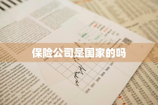 保险公司是国家的吗