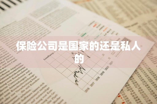 保险公司是国家的还是私人的
