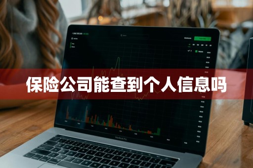 保险公司能查到个人信息吗