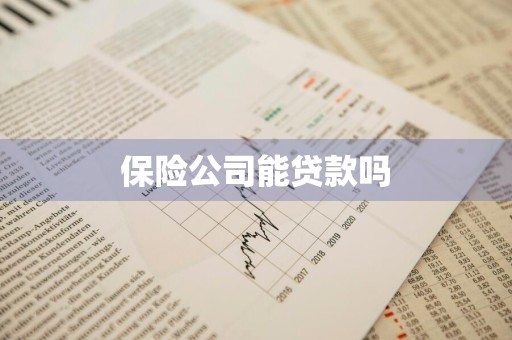 保险公司能贷款吗