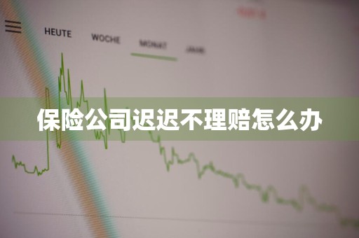保险公司迟迟不理赔怎么办