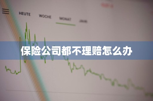 保险公司都不理赔怎么办