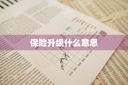 保险升级什么意思