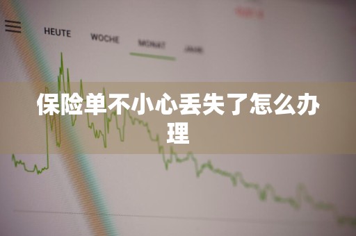 保险单不小心丢失了怎么办理