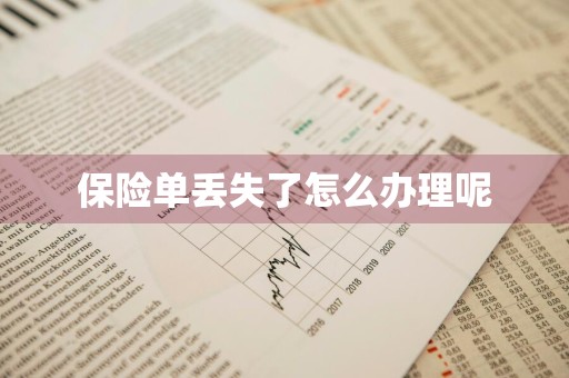 保险单丢失了怎么办理呢