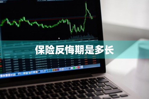 保险反悔期是多长
