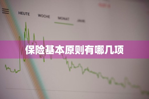 保险基本原则有哪几项
