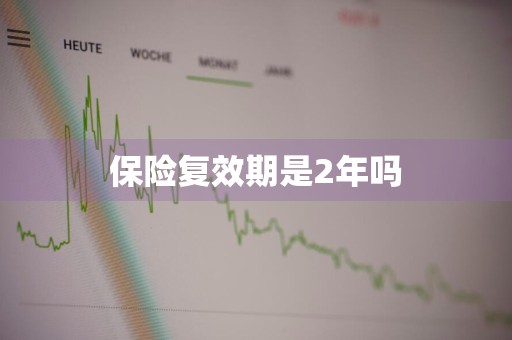 保险复效期是2年吗