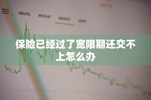保险已经过了宽限期还交不上怎么办