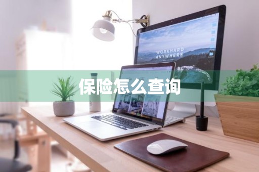 保险怎么查询