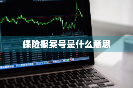 保险报案号是什么意思