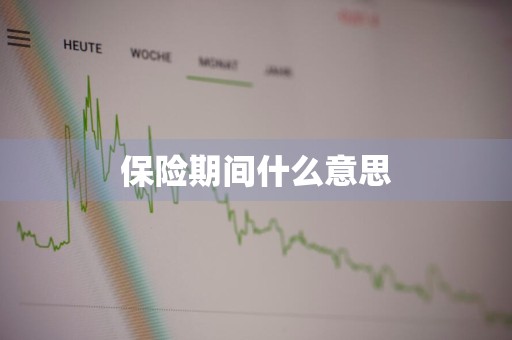 保险期间什么意思