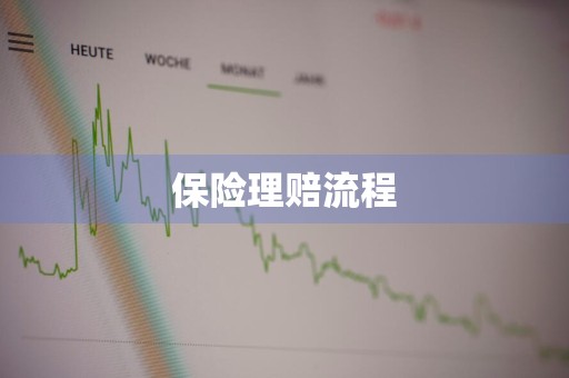 保险理赔流程