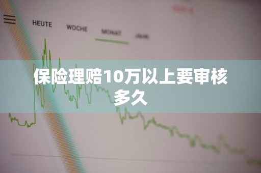 保险理赔10万以上要审核多久