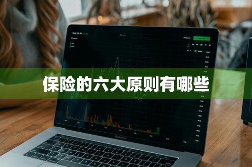 保险的六大原则有哪些