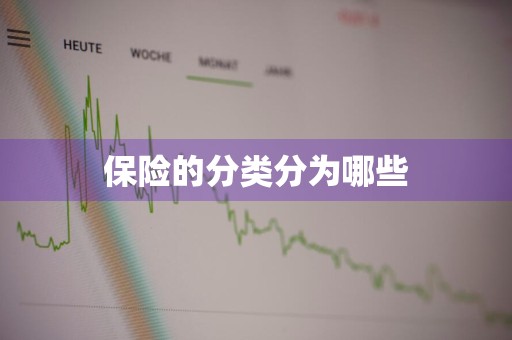 保险的分类分为哪些