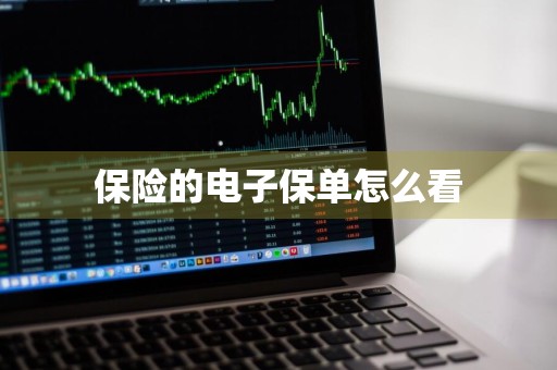 保险的电子保单怎么看