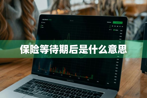 保险等待期后是什么意思