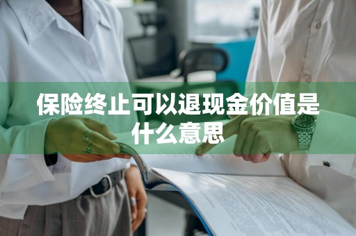 保险终止可以退现金价值是什么意思