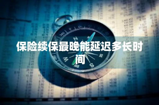 保险续保最晚能延迟多长时间